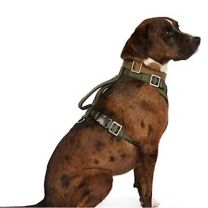 Reddy Olive Jacquard Harness